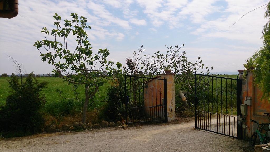 Appartamento Il Salice Casa Minnina Kültér fotó