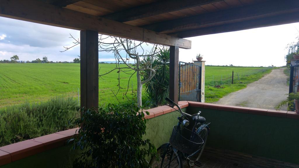 Appartamento Il Salice Casa Minnina Kültér fotó